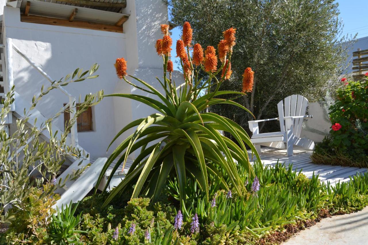 Ta Mala's Country house Prince Albert